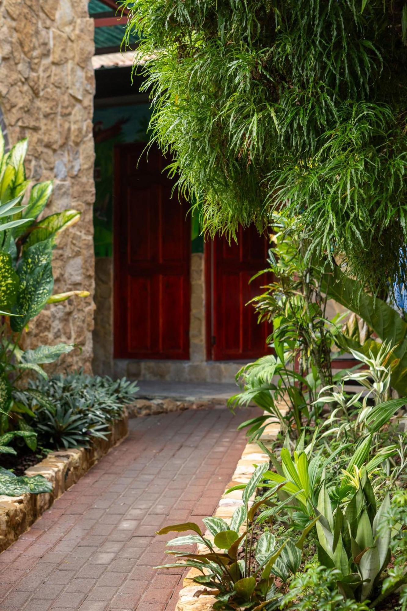 Costa Linda Art Hostel Manuel Antonio Dış mekan fotoğraf